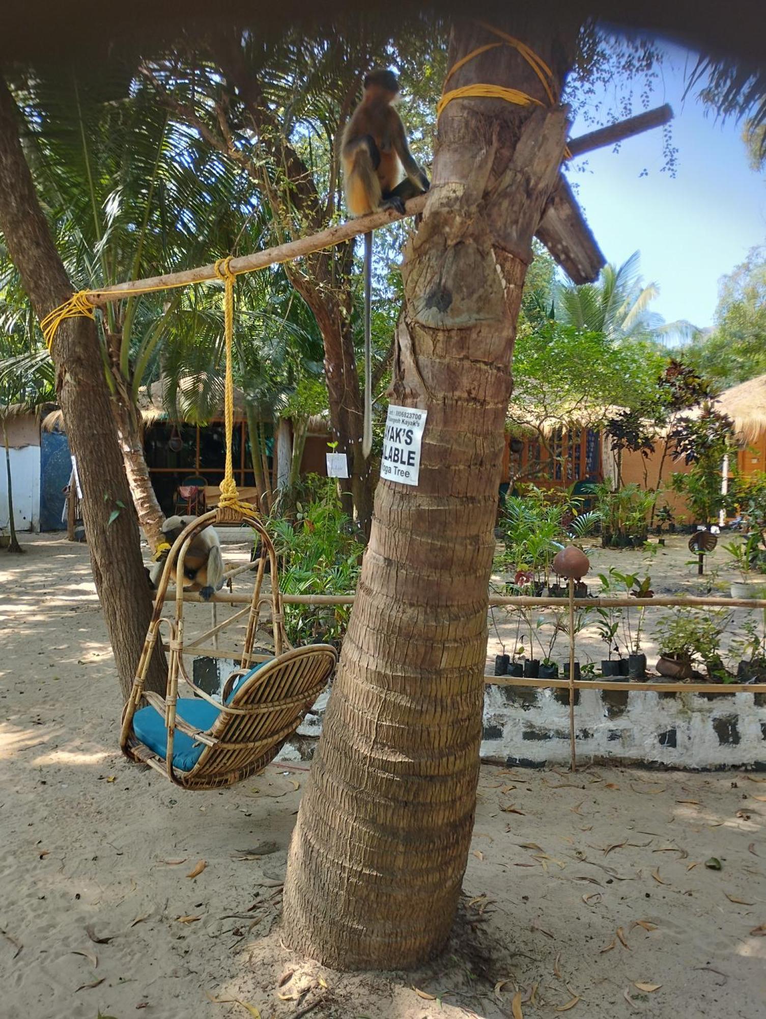 Hotel Yoga Culture Palolem Exterior foto